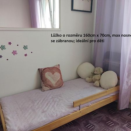 Apartman V Podhuri Krusnych Hor Sokolov Exterior foto