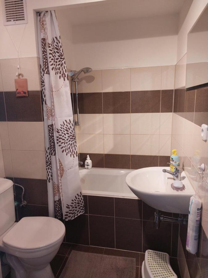 Apartman V Podhuri Krusnych Hor Sokolov Exterior foto