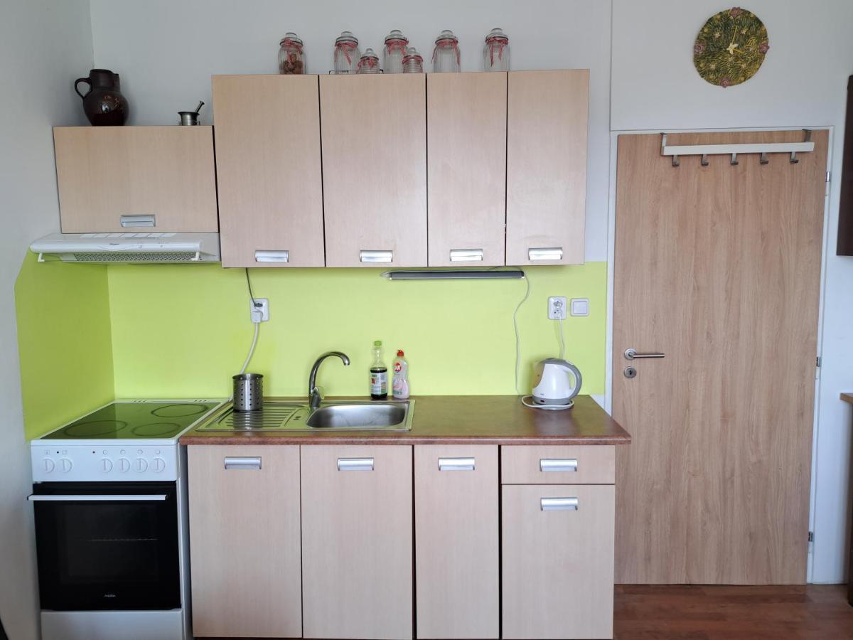 Apartman V Podhuri Krusnych Hor Sokolov Exterior foto